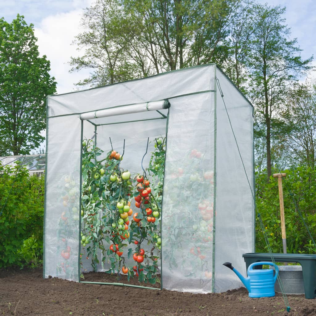 Tomatdrivhus 198x78x200 cm