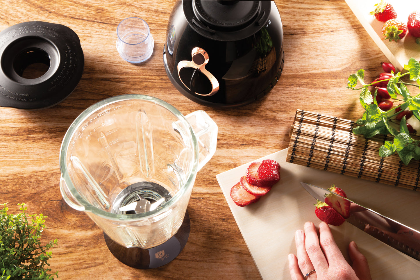 Blender Monaco Special Edition 600W