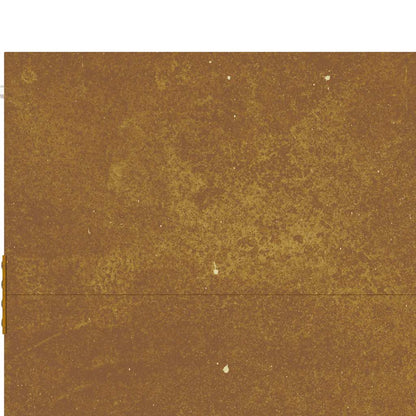 Hageport 85x200 cm cortenstål