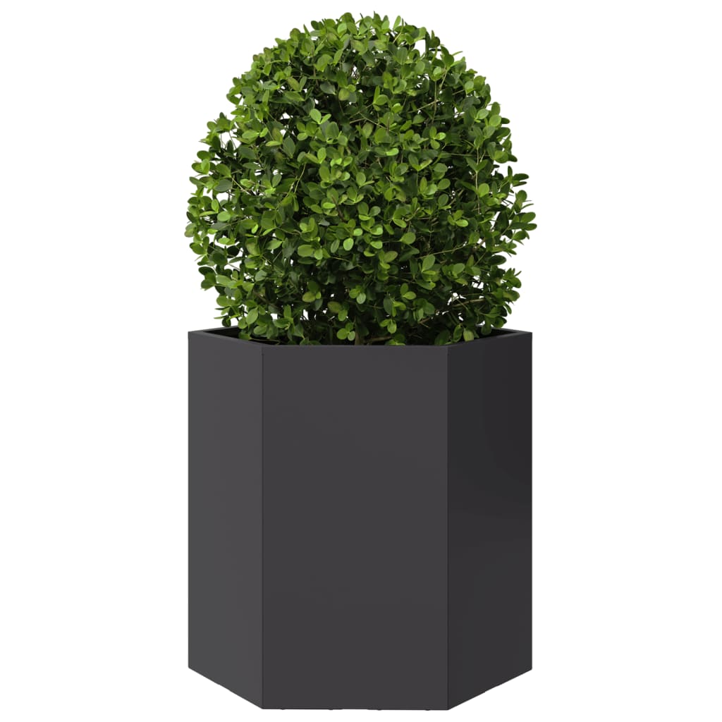 Hageplanter 2 stk svart sekskantet 46x40x45 cm stål