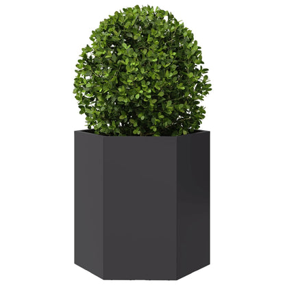 Hageplanter 2 stk svart sekskantet 46x40x45 cm stål