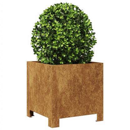 Hageplanter 2 stk 30x30x30 cm oksidert stål