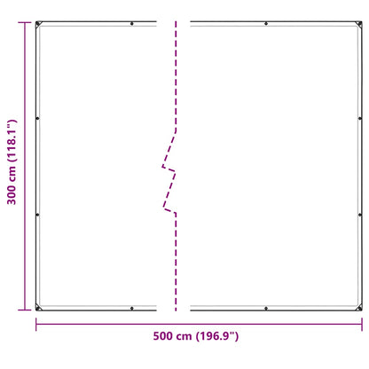 Klar presenning med maljer 3x5 m PVC
