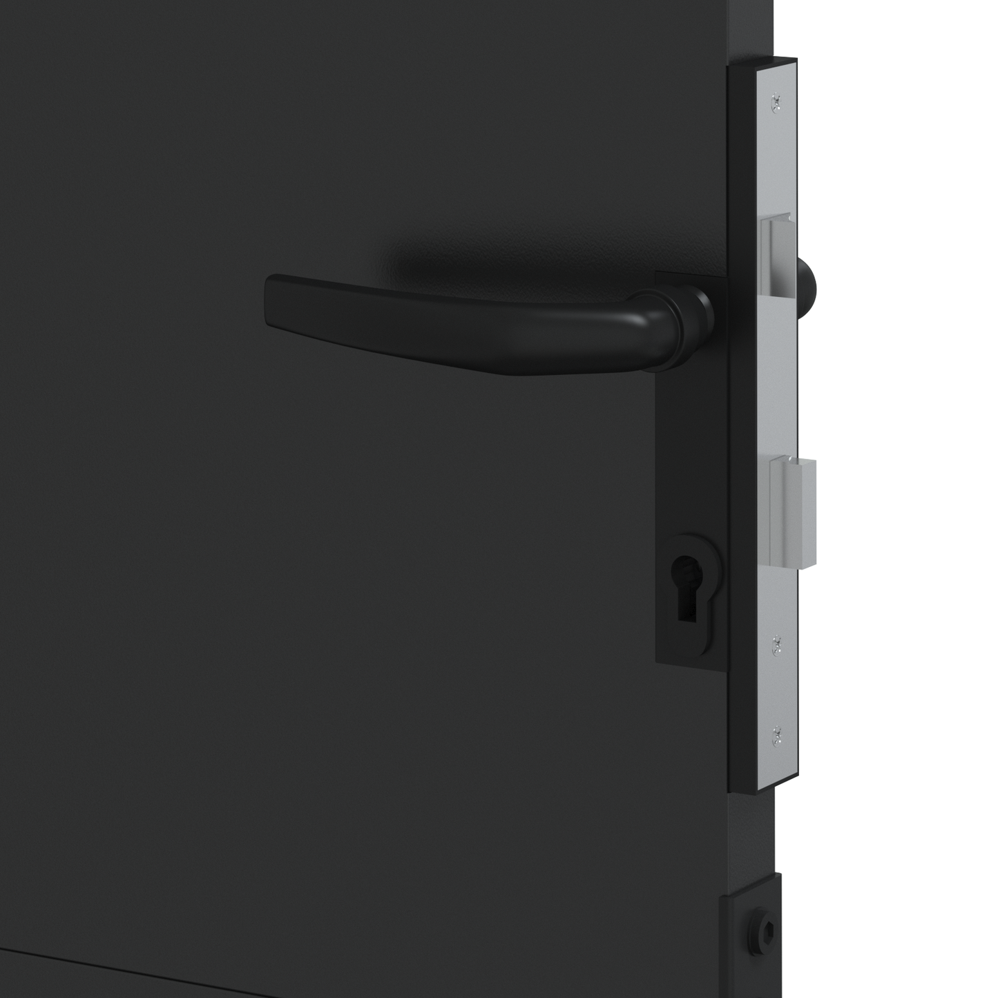 Hageport med lås Svart 105 x 200 cm Pulverlakkert stål